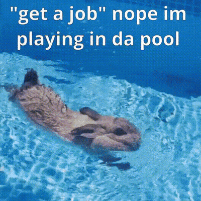 Otter Playing In Pool Saying Get A Job Nope GIF