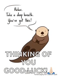 Otter Relax GIF
