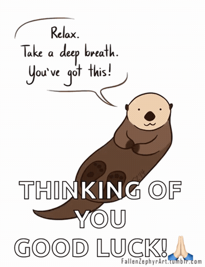 Otter Saying Relax Take A Deep Breath You've Got This Good Luck GIF