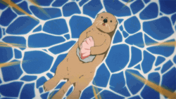 Otter Smashing Shell On Rock Animation