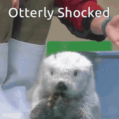 Otterly Shocked Otter Held