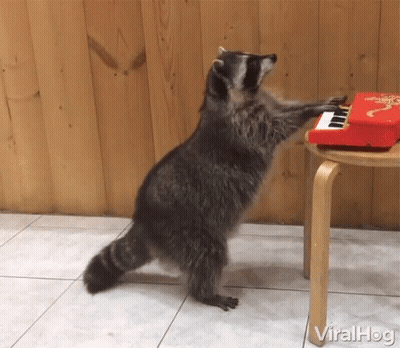 Otters Hugging Sweater Weather GIF