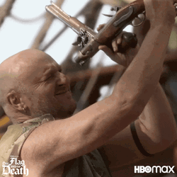 Our Flag Means Death Pirate Ship GIF