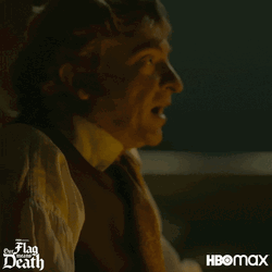 Our Flag Means Death Stede Bonnet Smiling GIF
