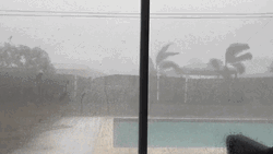 Outside Window Rainy Tuesday GIF