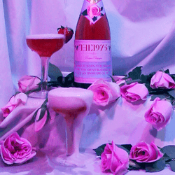 Overflow Pink Champagne GIF