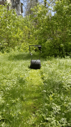 Overgrown Grass In A Garden GIF