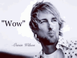 Owen Wilson Wow Nodding GIF