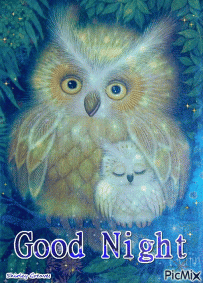 Owl And Baby Owl Saying Good Night GIF