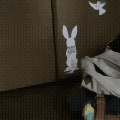 Owl Before Rabbit Projection Saying Tady Sem GIF