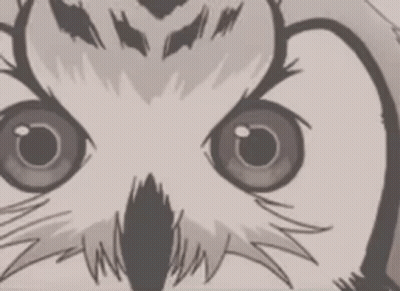 Owl Drawing With Big Eyes GIF