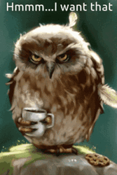 Owl Drinking Coffee I Want That  GIF