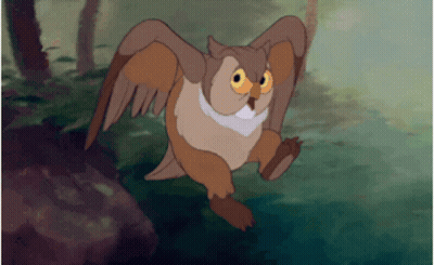 Owl Flying With Wings Spread GIF