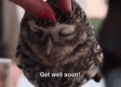 Owl Get Well Soon