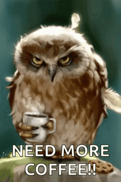 Owl Holding Coffee And Cookie Saying Need More Coffee GIF