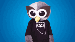Owl Mascot Dab GIF