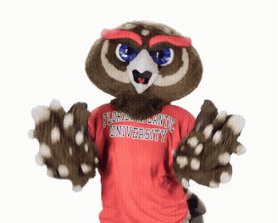 Owl Mascot In Red Florida Atlantic University Shirt GIF