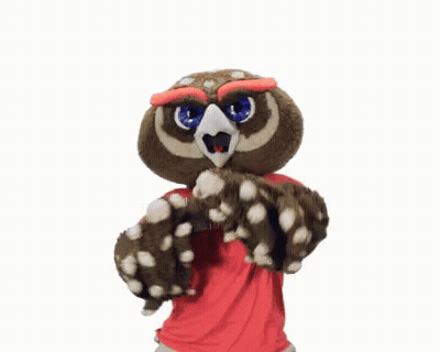 Owl Mascot Wearing Florida University Shirt GIF