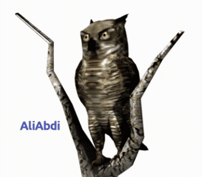 Owl On Tree Branch Aliabdi GIF