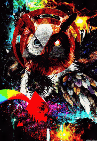 Owl Painting With Red Arrow Pointing Right GIF