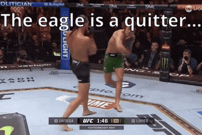 Owl Perched On Branch Starly Used Quick Attack GIF