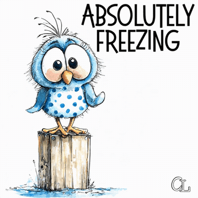 Owl Saying Absolutely Freezing GIF