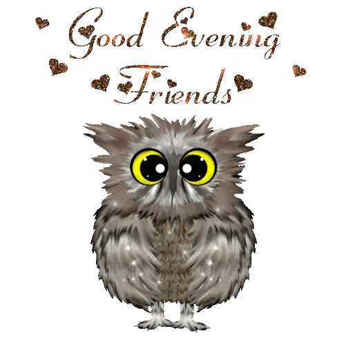 Owl Saying Good Evening Friends Sticker