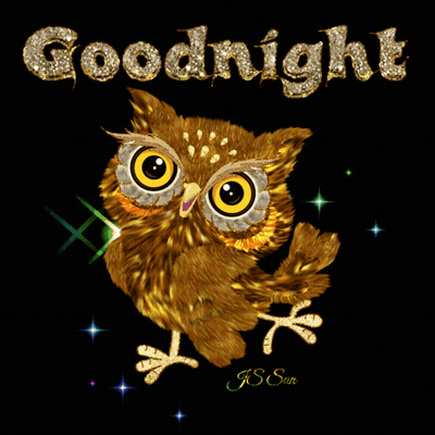 Owl Saying Goodnight GIF