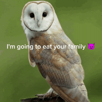 Owl Saying I'm Going To Eat Your Family GIF