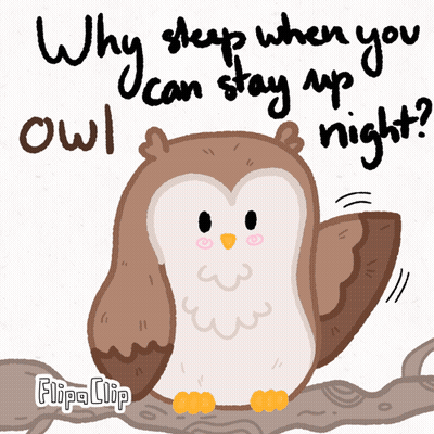 Owl Saying Why Sleep When You Can Stay Up Night GIF