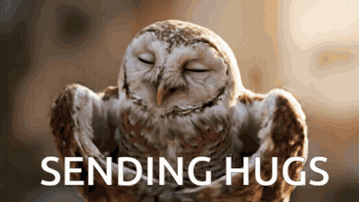 Owl Sending Hugs GIF
