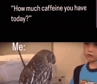 Owl Sitting Next To Boy In Kitchen GIF