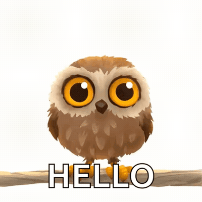 Owl Sitting On Branch Saying Hello GIF