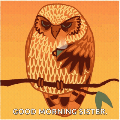 Owl Sitting On Branch With Coffee In Beak GIF