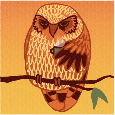 Owl Sitting on Branch With Cup in Beak