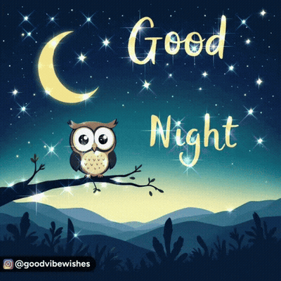 Owl Sitting On Tree Branch Good Night GIF