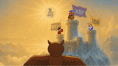 Owl Standing In Front Of Castle With XRP Banner GIF
