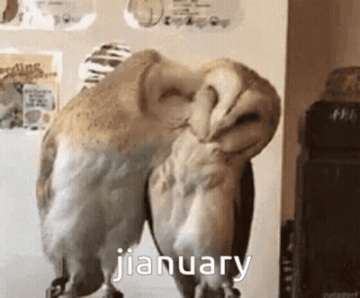 Owl Standing In Front Of Refrigerator Saying January GIF