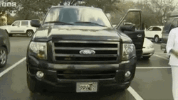 Owl Waiting And Watching GIF