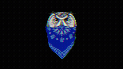 Owl Wearing Blue Bandana And Crown Saying King GIF