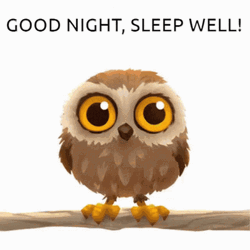 Owl With Good Night Greeting