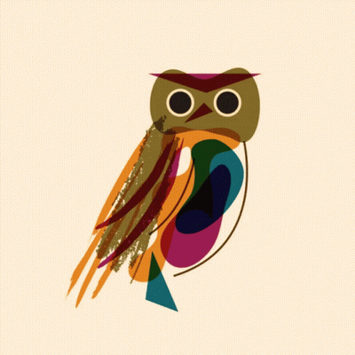 Owl With Long Beak And Feathers GIF