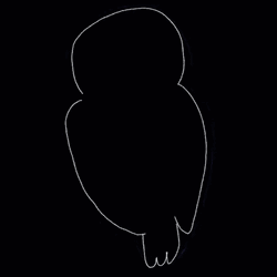 Owl With Sharp Eyes Illustration GIF