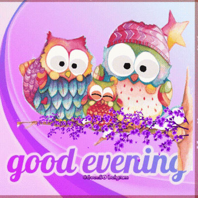 Owls On Branch Saying Good Evening GIF