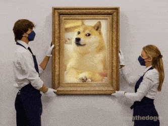 Ownthedoge Own The Doge GIF