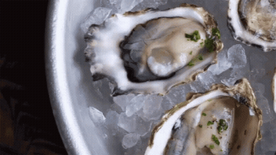 Oysters Are Sitting On Ice In A Bowl GIF