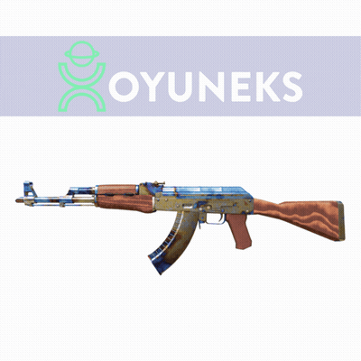 Oyuneks Rifle GIF