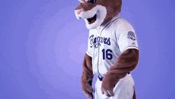 Ozzie Hotline Mascot Dancing Bling Moves GIF