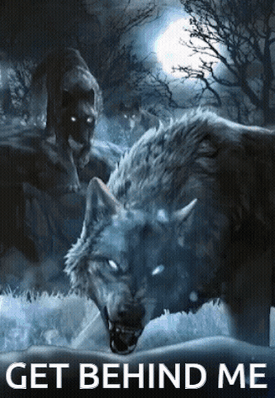 Pack Of Wolves Get Behind Me Poster GIF