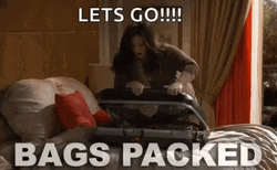 Packing Bags Let's Go GIF